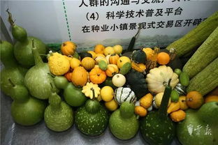 第十五屆昆明農博會開幕啦，快收下這份逛展攻略，周末約起！